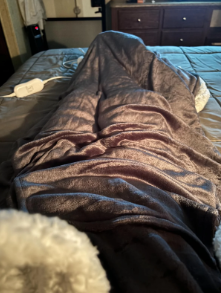 Review by Jazmine. F